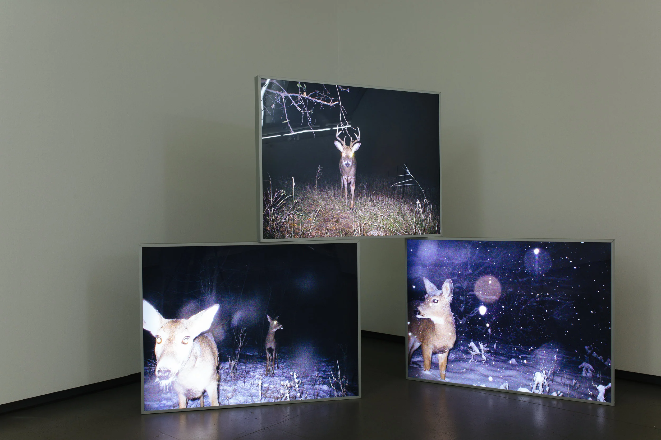 芸術写真 IN ALMOST EVERY PICTURE #7 Erik Kessels In almost every picture #3 — ERIK KESSELS